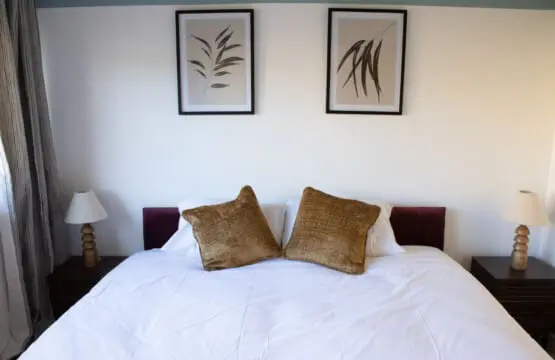 IMG 7026