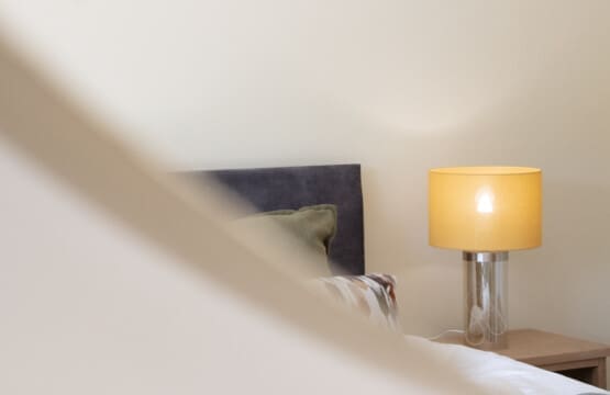 IMG 7152