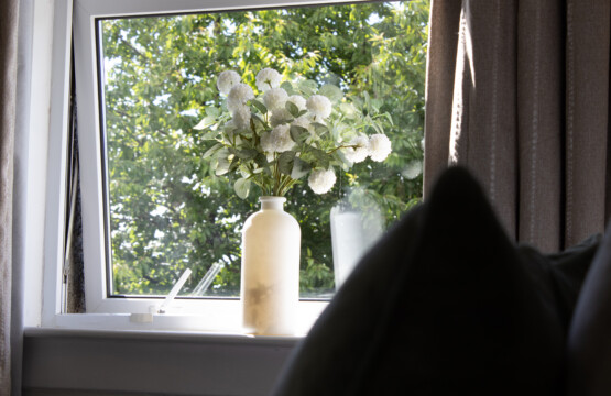 IMG 8999